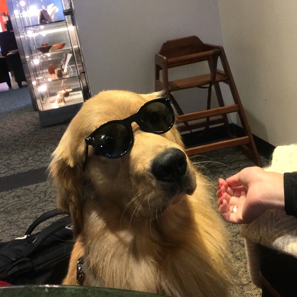 Meet your Posher, Chris - Picture 1 of 1